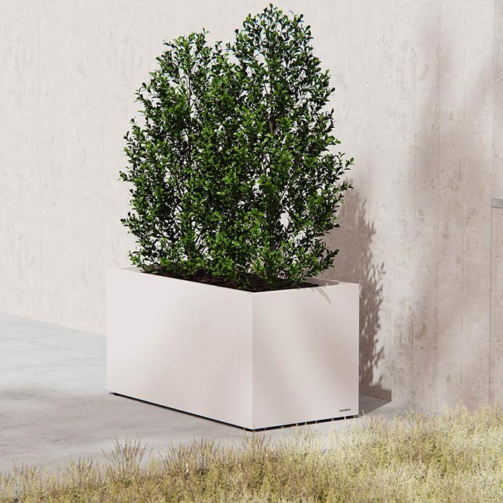 Image du produit Herstera Planter
