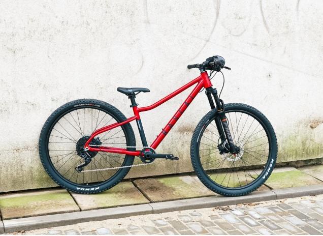 Actual product image Rascal Bikes Rascal Wild 20 (20")