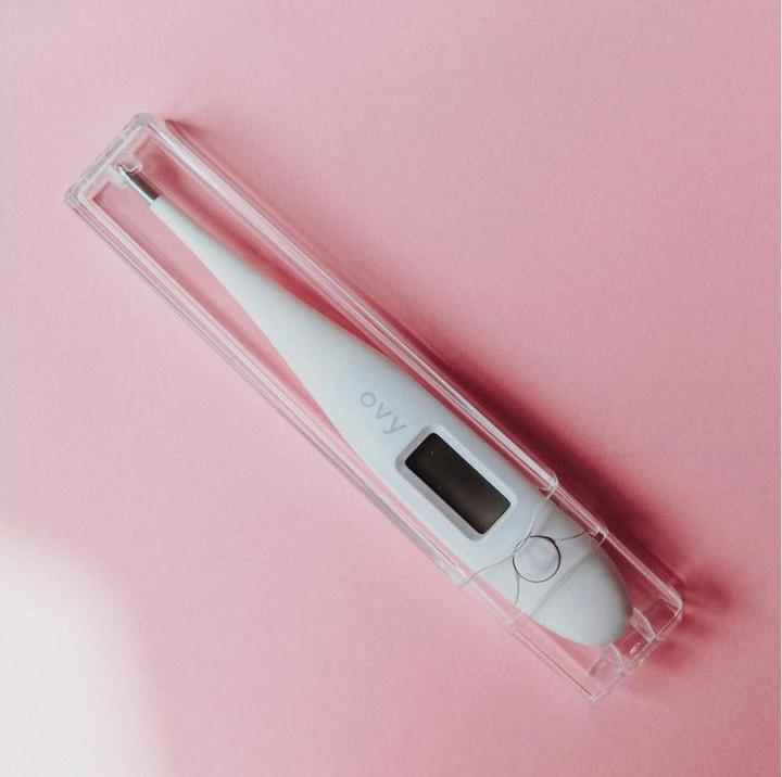 Produktbild Ovy Basalthermometer