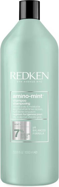 Redken Amino Mint (1000 ml, Flüssiges Shampoo)