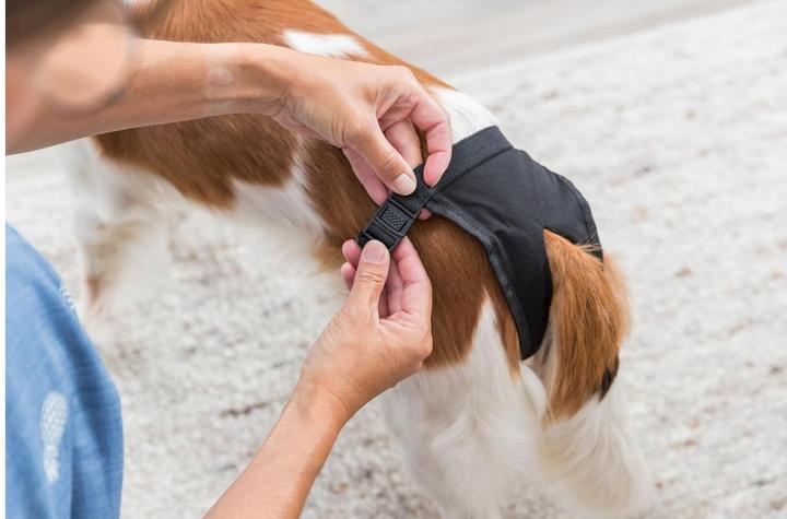 Produktbild Trixie Schutzhöschen XL 60-70cm (XL, Hundeoverall)