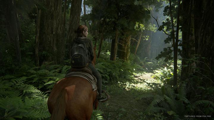 Immagine prodotto Sony The Last of Us Part II Edizione Standard (EN/RU) PS4 (PS4, DE)