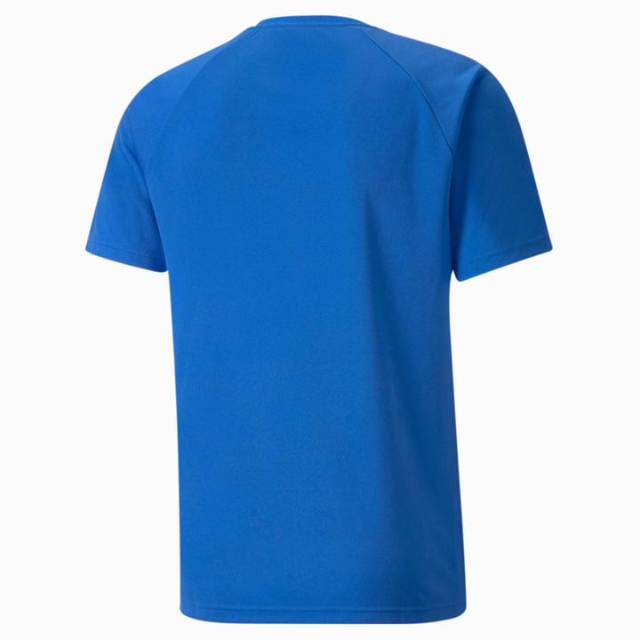 Actual product image Puma Team Liga Striped (XS)