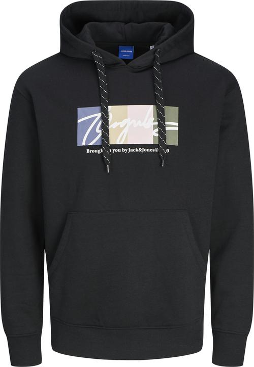 Jack & Jones Jorportland Block Sweat Hood Ln (S)