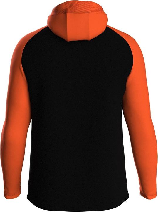 Actual product image JAKO Iconic hooded jacket (128)