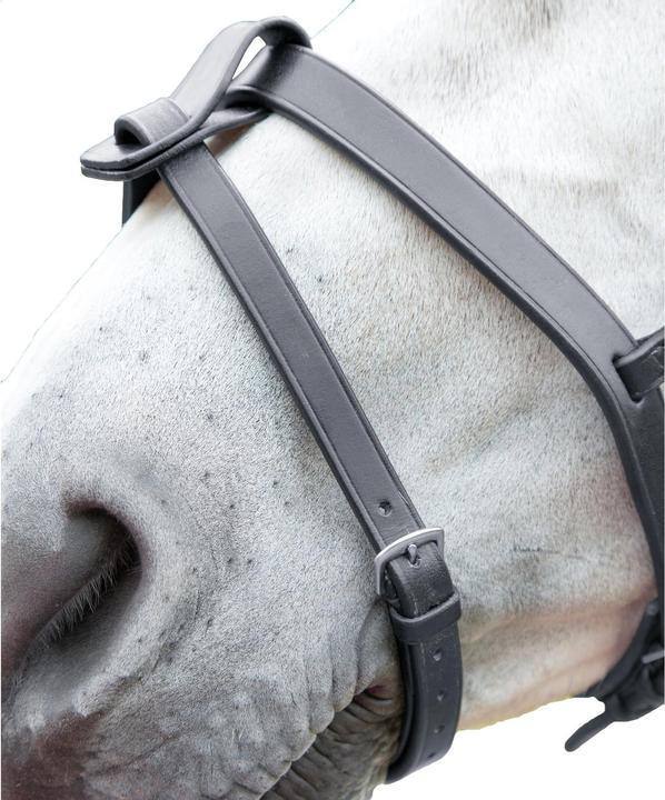 Actual product image Universal Textiles Nasenriemen Leder