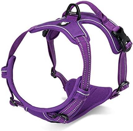 Produktbild Truelove Reflektierendes Hundegeschirr (Hund)