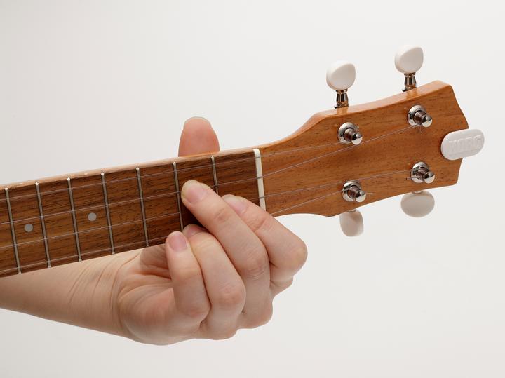 Immagine prodotto Korg MiniPitch