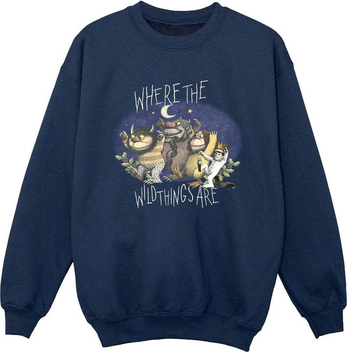 Where The Wild Things Are Sweatshirt Jungen (152, 158)