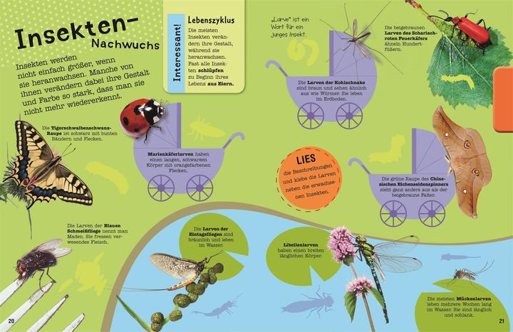 Image du produit Le livre de coloriage Mach Insectes