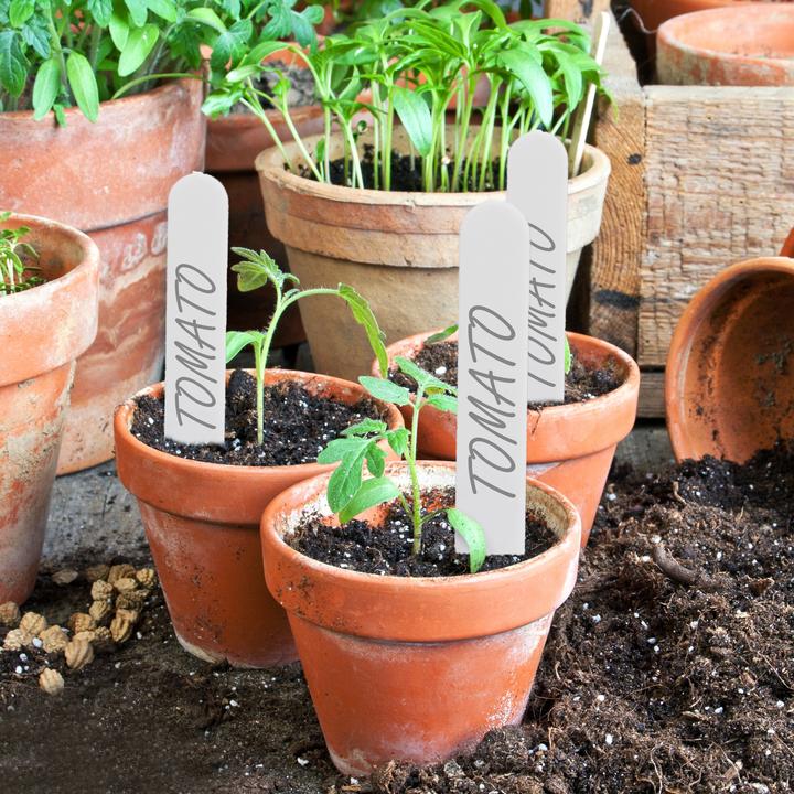 Actual product image Relaxdays 500x plant labels (0.10 cm, 1.50 cm)