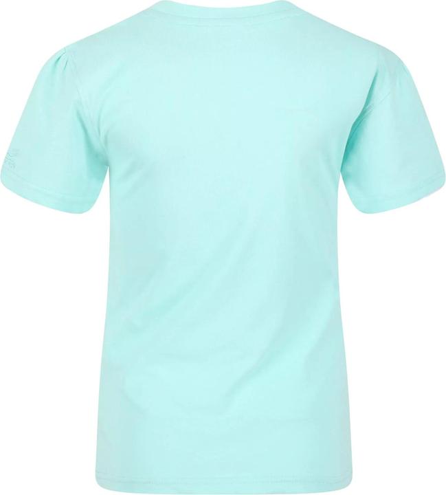 Actual product image Regatta Bosley V Tshirt (104)