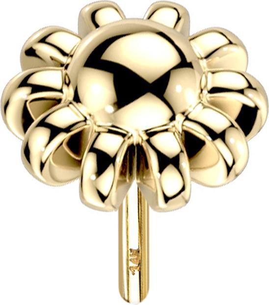 Star Piercing Threadless 14k gold Kugel mit Kugelrand (14k Gold, ohne Messing)
