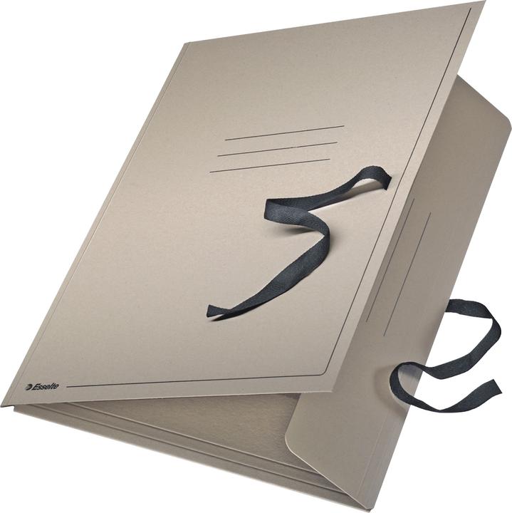 Image du produit Leitz Classeur à dessins Esselte (A3, 1 x)