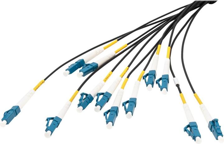 Produktbild Digitus Vorkonfektionierte Glasfaser Universal Breakout Kabel, Multimode OS2, 12 Fasern, LC/UPC - LC/UPC (LSOH, 50 m)
