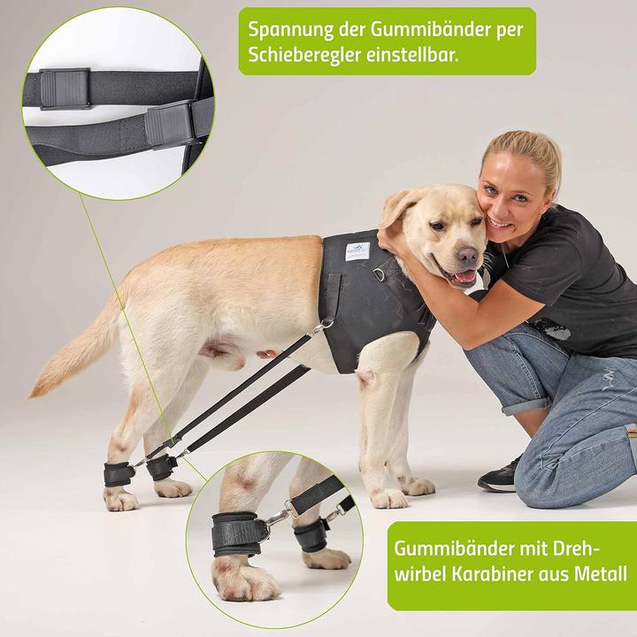 Produktbild Nature Pet Brust-, Reha- & Trainingsgeschirr für Hunde mit Gelenkproblemen (XS, Hund)