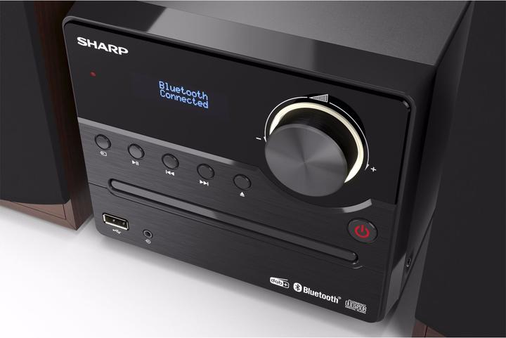 Immagine prodotto Sharp XL-B517BR (Multisala, Bluetooth, 2x 45 W)