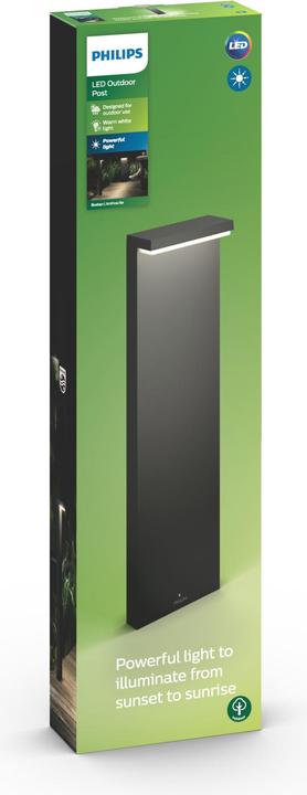 Actual product image Philips MyGarden (1000 lm, IP44)