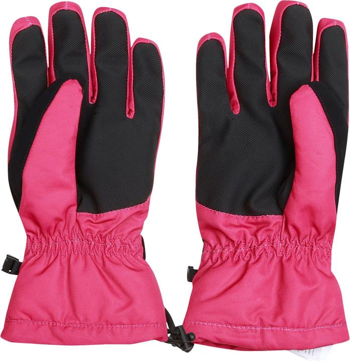 Produktbild Dare2b SkiHandschuhe Acute (L)