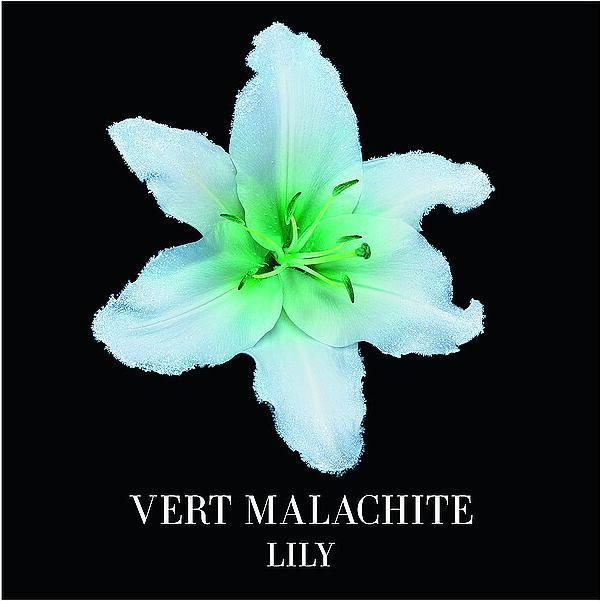 Image du produit Giorgio Armani Vert Malachite (Eau de parfum, 100 ml)