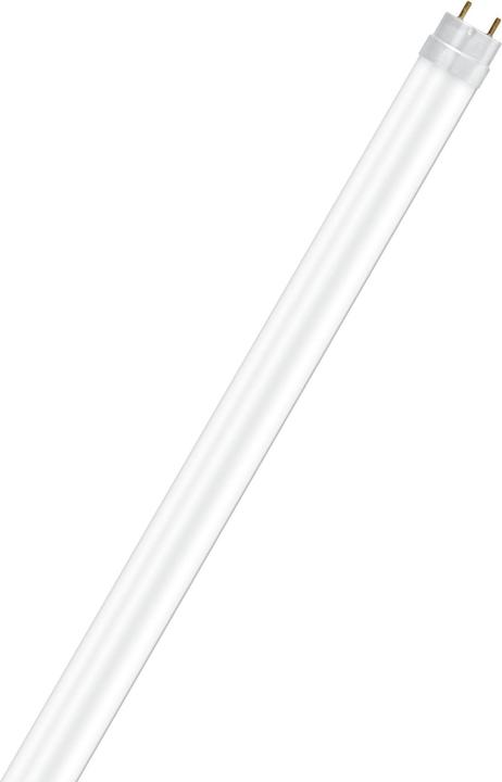 Image du produit Osram Substitube T8 Em Star Pc (G13, 6.60 W, 800 lm, 1 x, E)