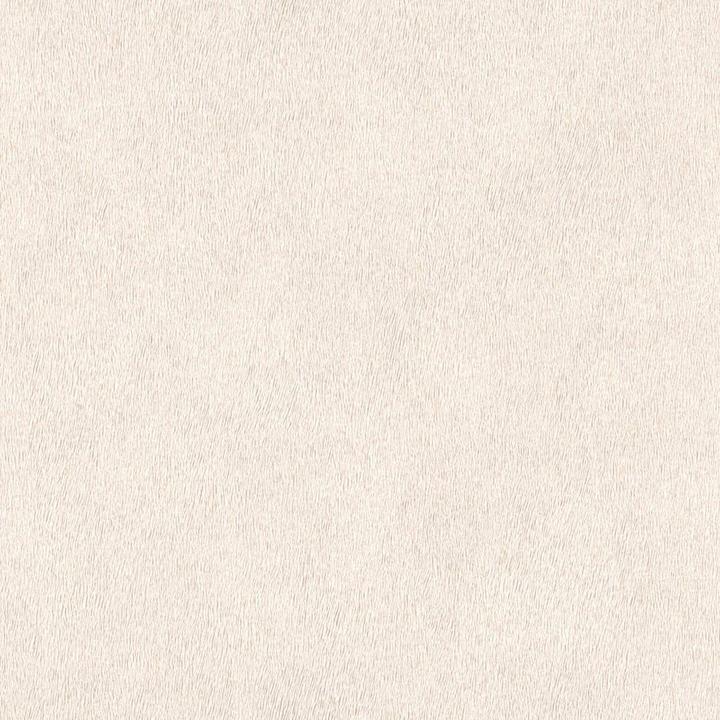 Produktbild Rasch African Queen II Tierfell creme (53 x 1005 cm)