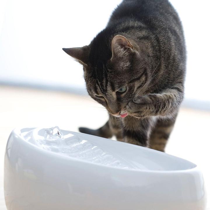 Produktbild Lucky Kitty Keramik Trinkbrunnen (1.50 l)