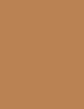 Actual product image Erborian High Definition Radiance (Caramel)