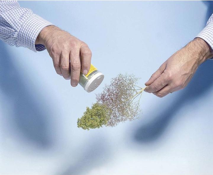 Actual product image Noch Tree blanks