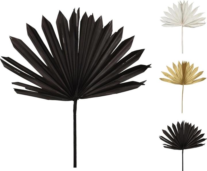 Produktbild Casativo Deko-Blatt, schwarz, 40 x 45 cm (40 x 45 cm)