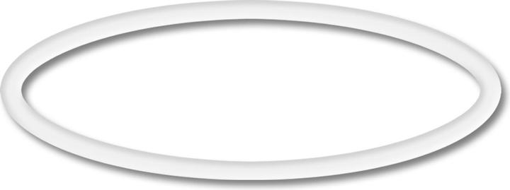 Actual product image SunSun Spare Part: CPP-10000F Poolpump O-Ring 2