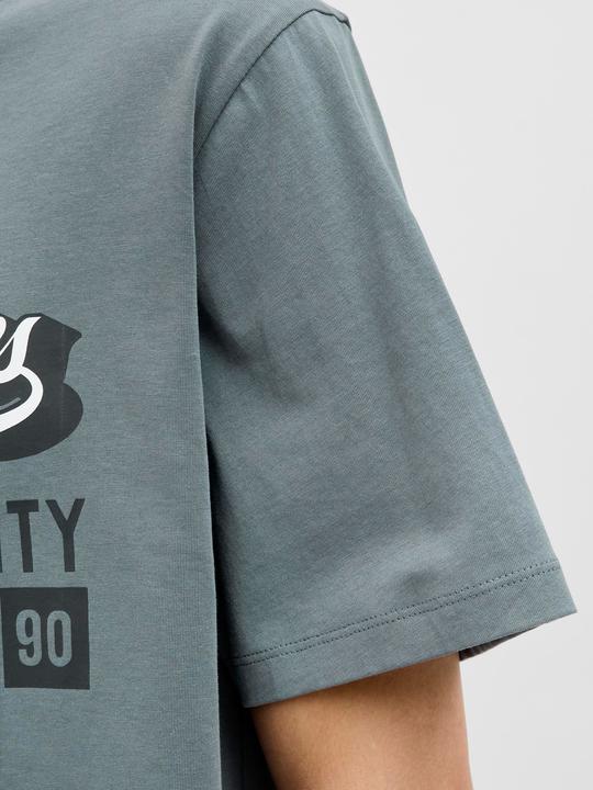 Actual product image Jack & Jones Jjelogo Tee Ss Oneck 2 Col Aw25 Noos Pls (5XL)