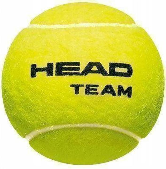 Actual product image Head Tennis balls 4Erpack Team