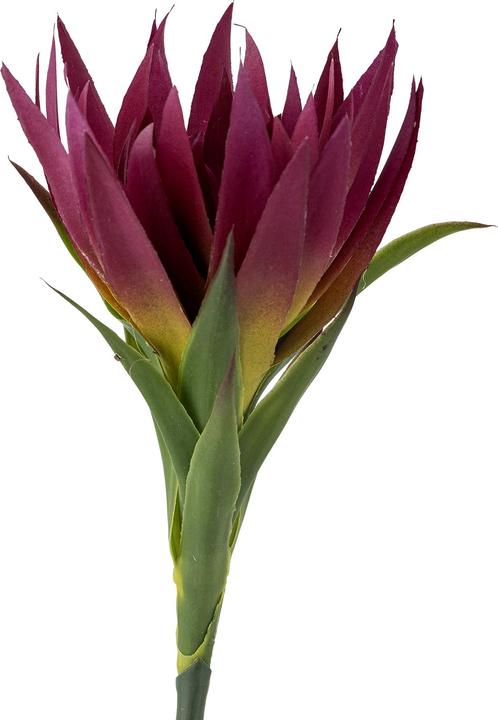 Actual product image Bloomingville Lily (76 cm)