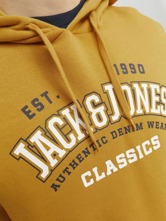 Immagine prodotto Jack & Jones Logo Hoodie (XXL)