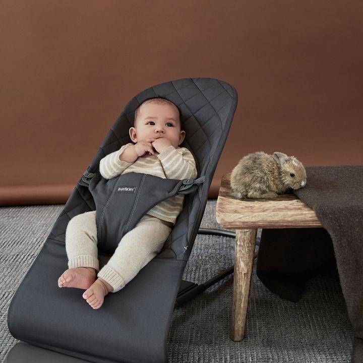 Actual product image BabyBjörn Bliss