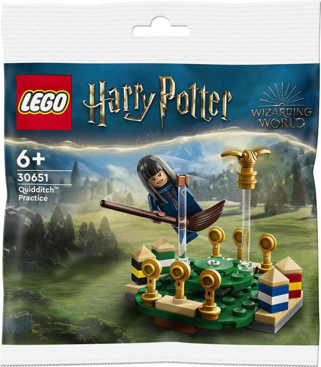Actual product image LEGO Quidditch Practice (30651, LEGO Harry Potter)