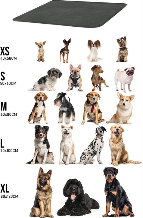 Produktbild Aspero Hundedecke Lund (Hund)