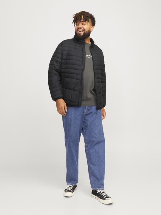 Image du produit Jack & Jones Jjestate Packable Puffer Collar Noos Pls (5XL)