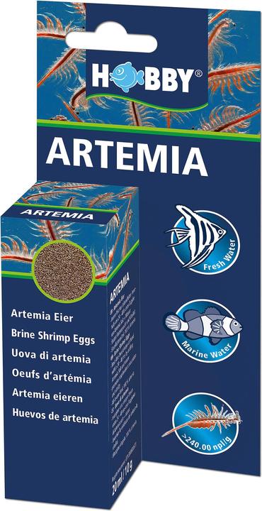 Produktbild Hobby Artemia Eier (Jungfische, 20 ml)