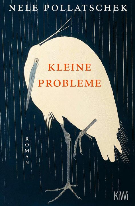 Produktbild Kleine Probleme (Deutsch, Nele Pollatschek, 2025)