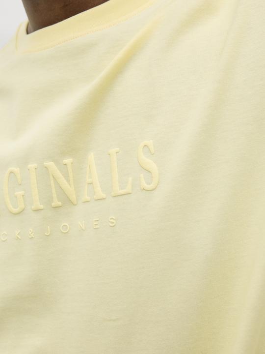 Immagine prodotto Jack & Jones T-shirt stampata con scollo rotondo (L)