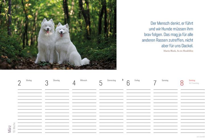 Produktbild Tischkalender Hunde 2026 (Deutsch)