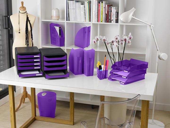 Immagine prodotto Exacompta Big Box Plus (A4+)