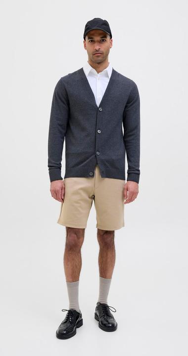 Actual product image Jack & Jones Regular Fit Slim Fit Shorts Slim Fit Shorts (L)