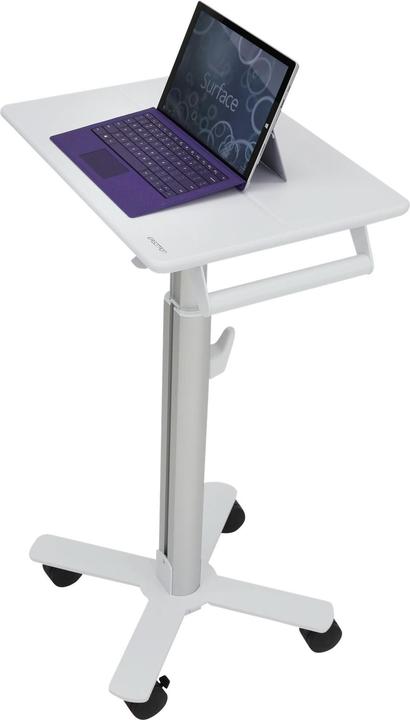 Immagine prodotto Ergotron StyleView
