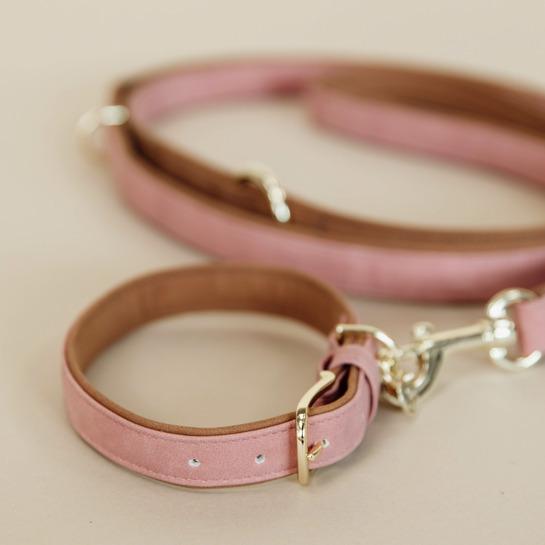 Produktbild Kentucky Dogwear Hunde Halsband Soft Vegan Leather (XS, Hund, Allgemein)