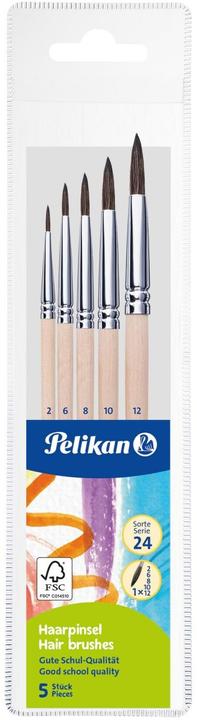Actual product image Pelikan School colouring brushes brush starter set with 5 hair brushes