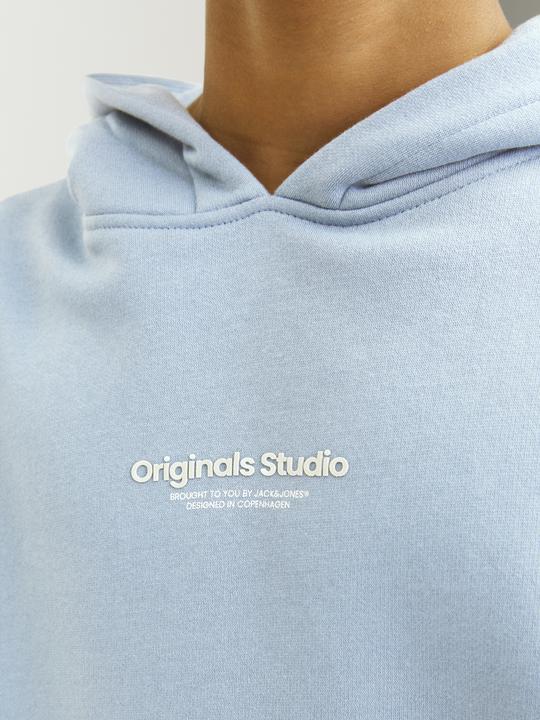 Actual product image Jack & Jones Jorvesterbro Sweat Hood Noos Mni (116)