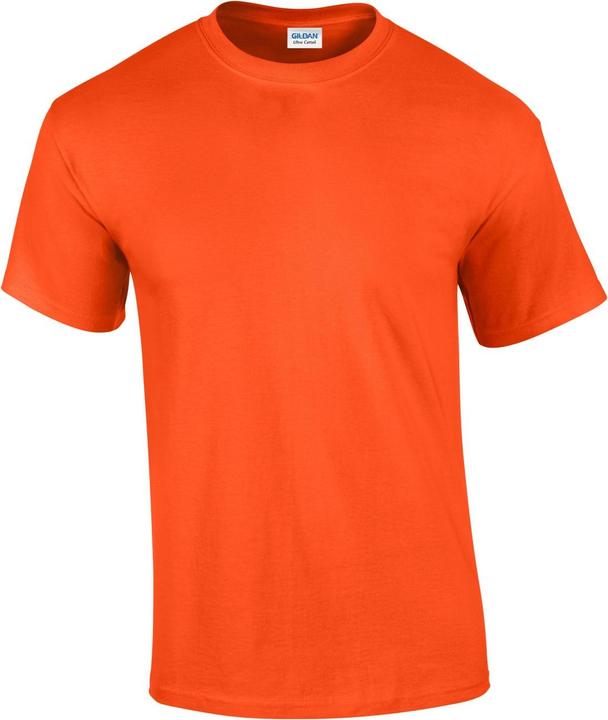 Gildan TShirt (S)
